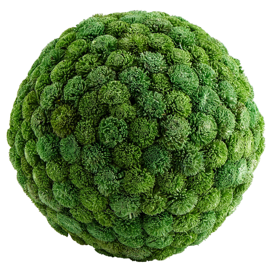 Sia Large Decorative Bowl Filler – Green Dried Botanicals, 15" Diameter