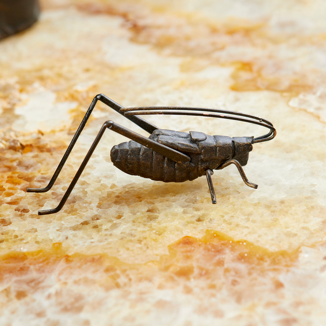 Cricket Sculpture | Raw Steel - Contemporary Art Piece