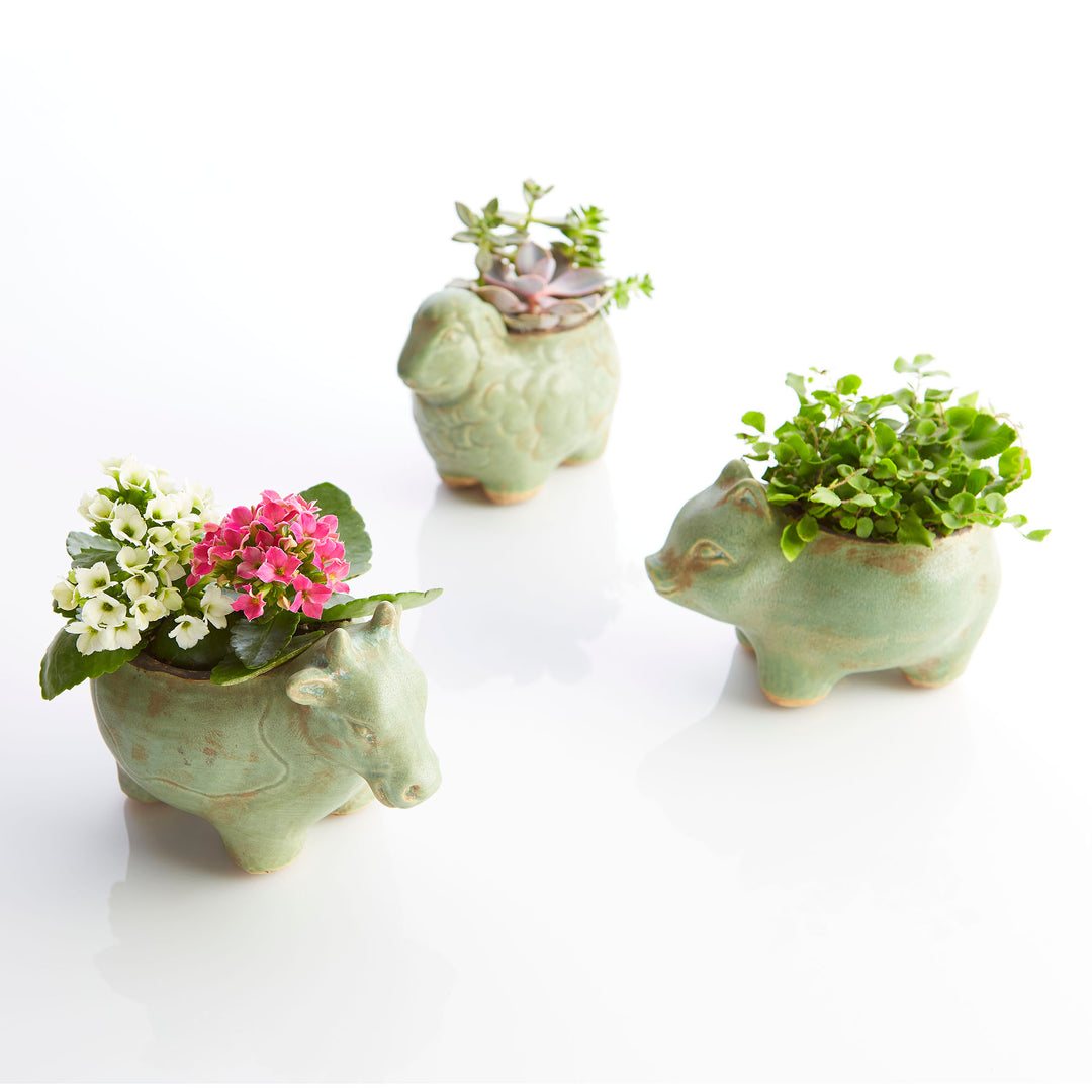 Lala Lamb Planter | Whimsical Decorative Planter