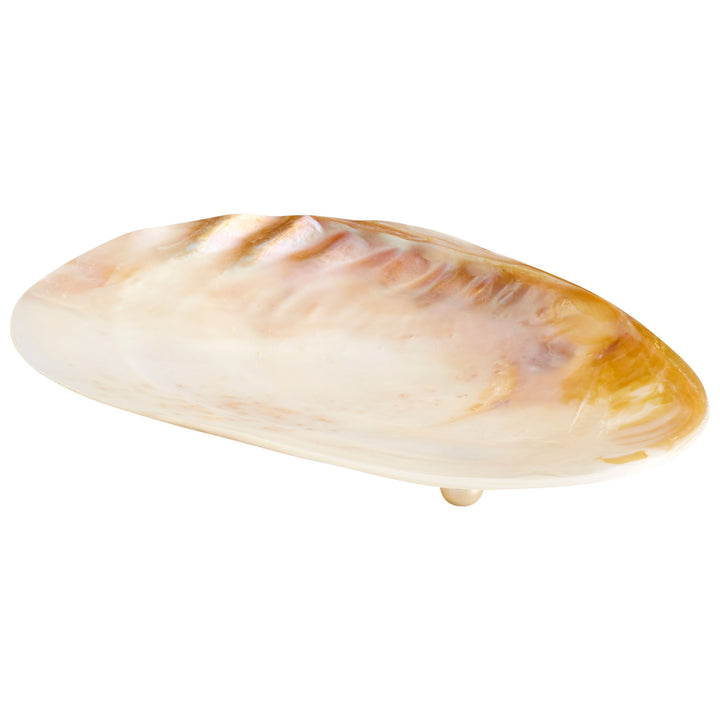Small Abalone Tray | Small Decorative Tray